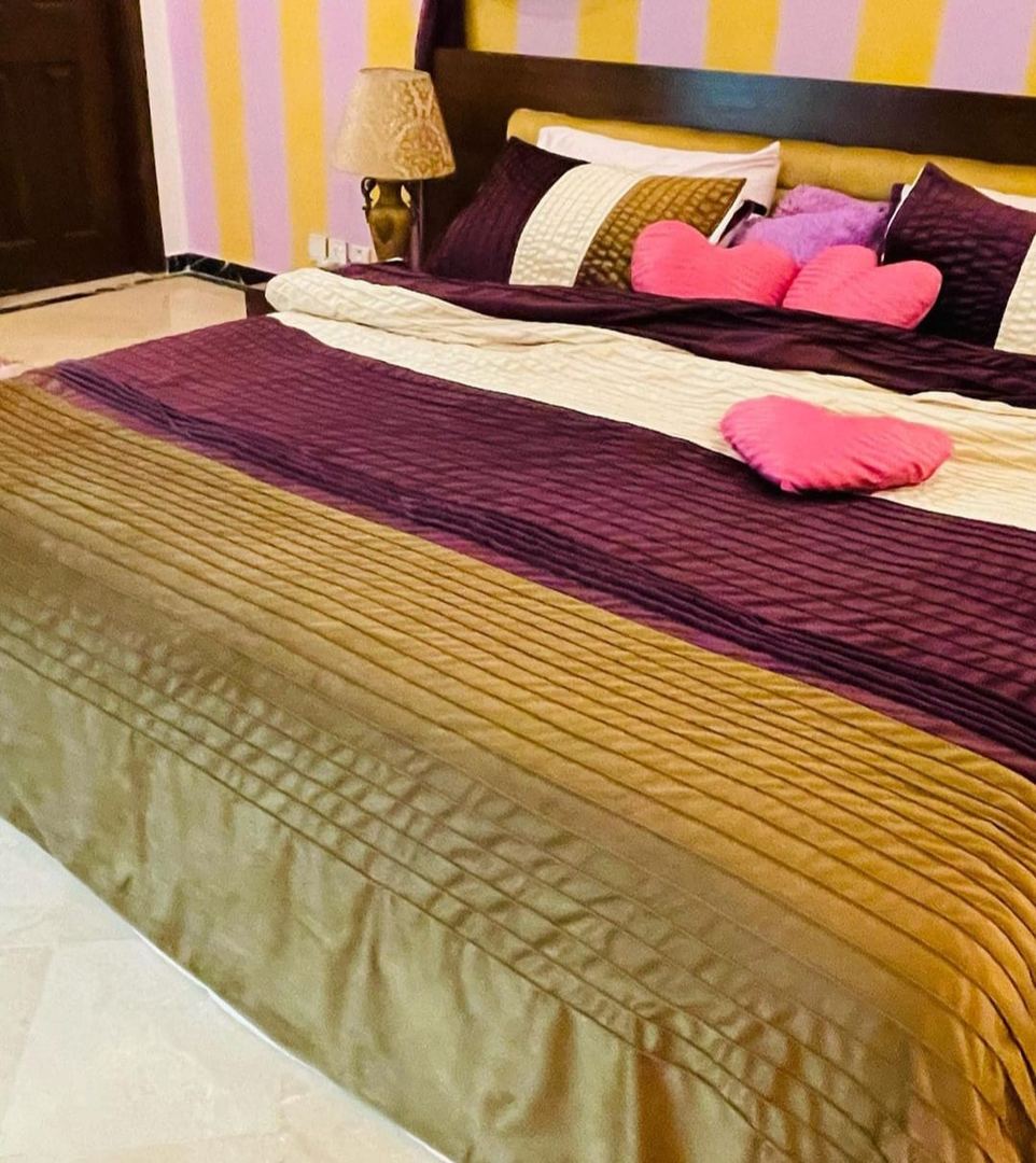 Comforter set (velvet stuff)