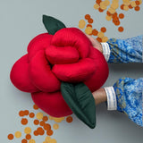Home Decore Cushion